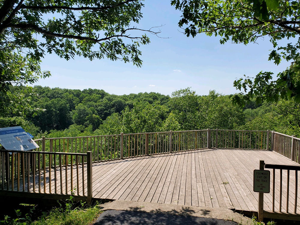 Submitted Photo - Williams Nature Center - Overlook near Minneopa Creek