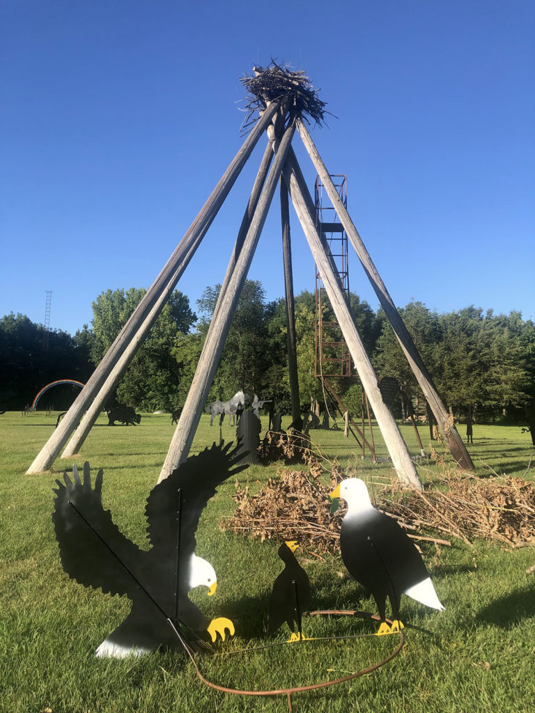 Photo by Mike Lagerquist - This eagle’s nest is among the other pieces displayed on Arnie Lillo’s 13 acres south of Mankato. The eagles in the foreground will be mounted back on top of the nest.