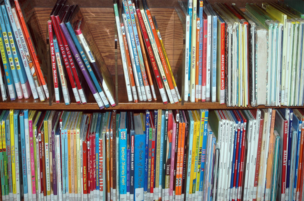 Photo by Don Lipps - A sampling of books in the Lovelace Wing of the Blue Earth County Library.