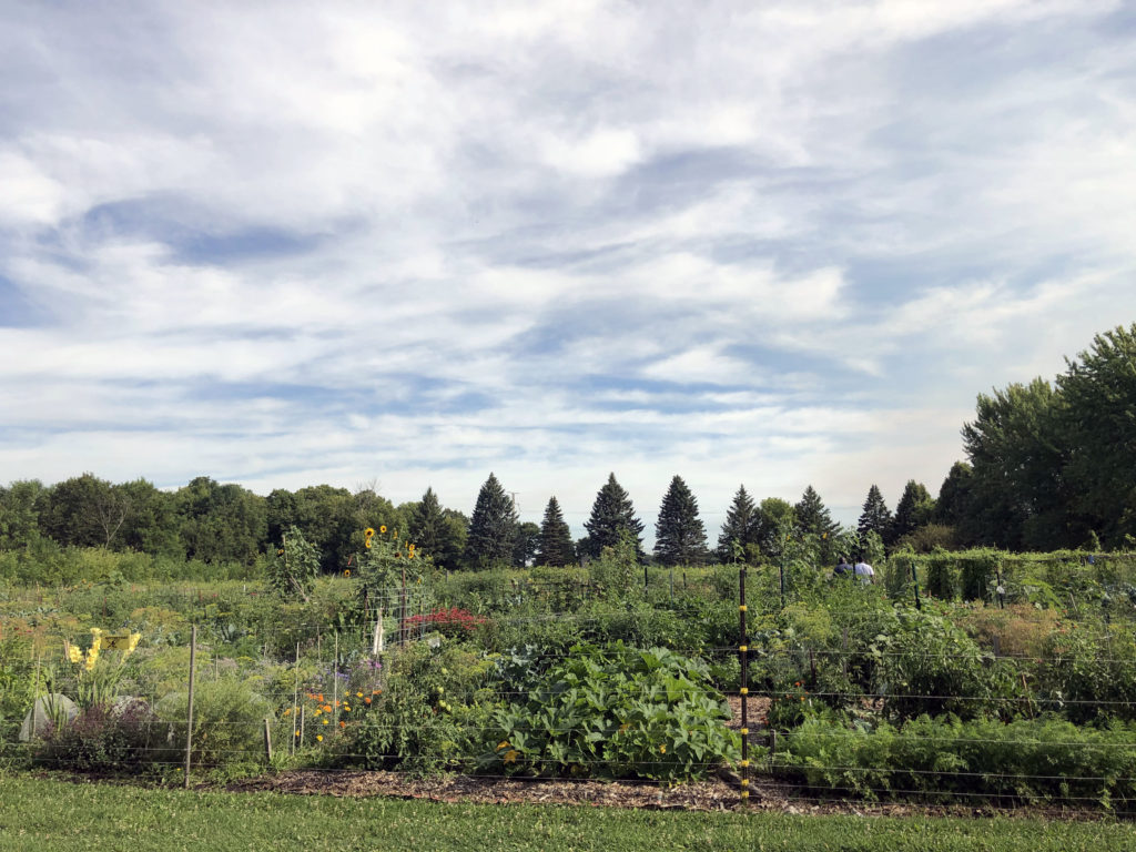 Photo by Molly Butler - Living Earth Center in Mankato