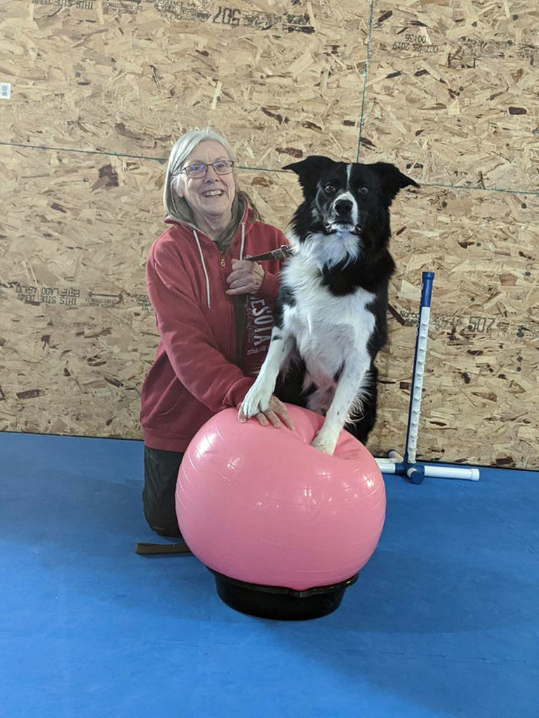 Submitted Photo - Patricia Linehan and friend working on some training
