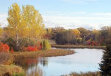 Photo by Don Lipps - Don's Pond in Ney Park, Henderson, MN