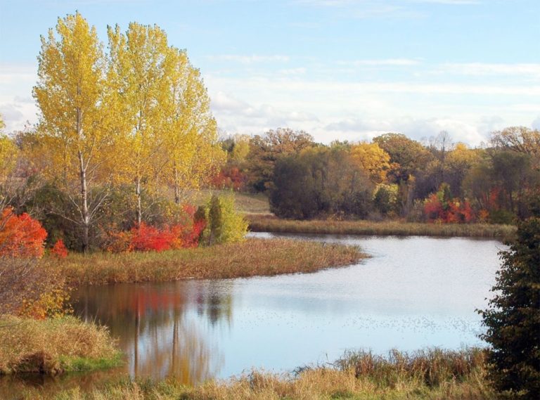 Photo by Don Lipps - Don's Pond in Ney Park, Henderson, MN