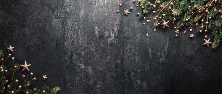 Christmas Decoration With Fir Branches and Red Berries On a Dark Background