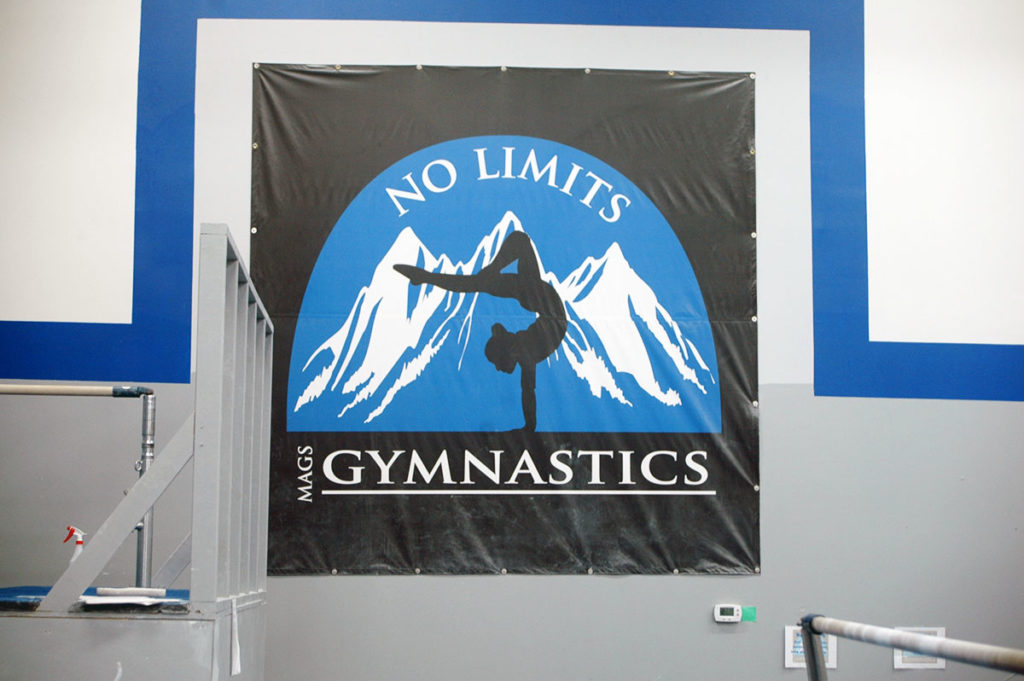 Photo by Don Lipps - Mankato Area Gymnastics School logo