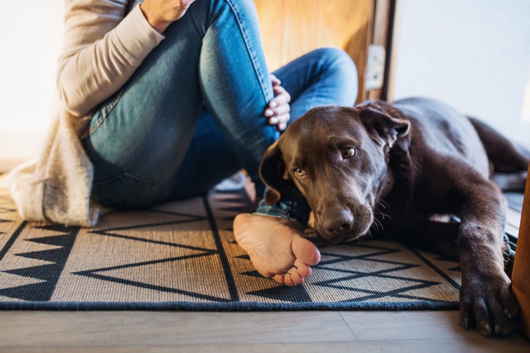 Woman and dog - Rest