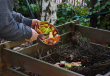 Compost