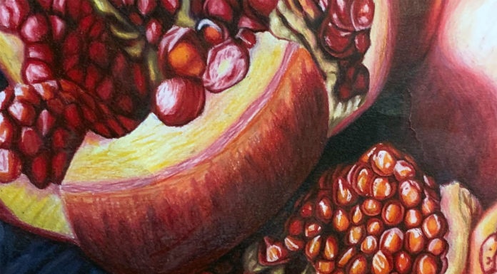 Photo by Molly Butler - "Pomegranite Study" by Vincent Kenobbie on display at the Fillin' Station