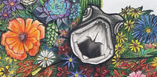 Submitted Image - Work by artist Laura Marti