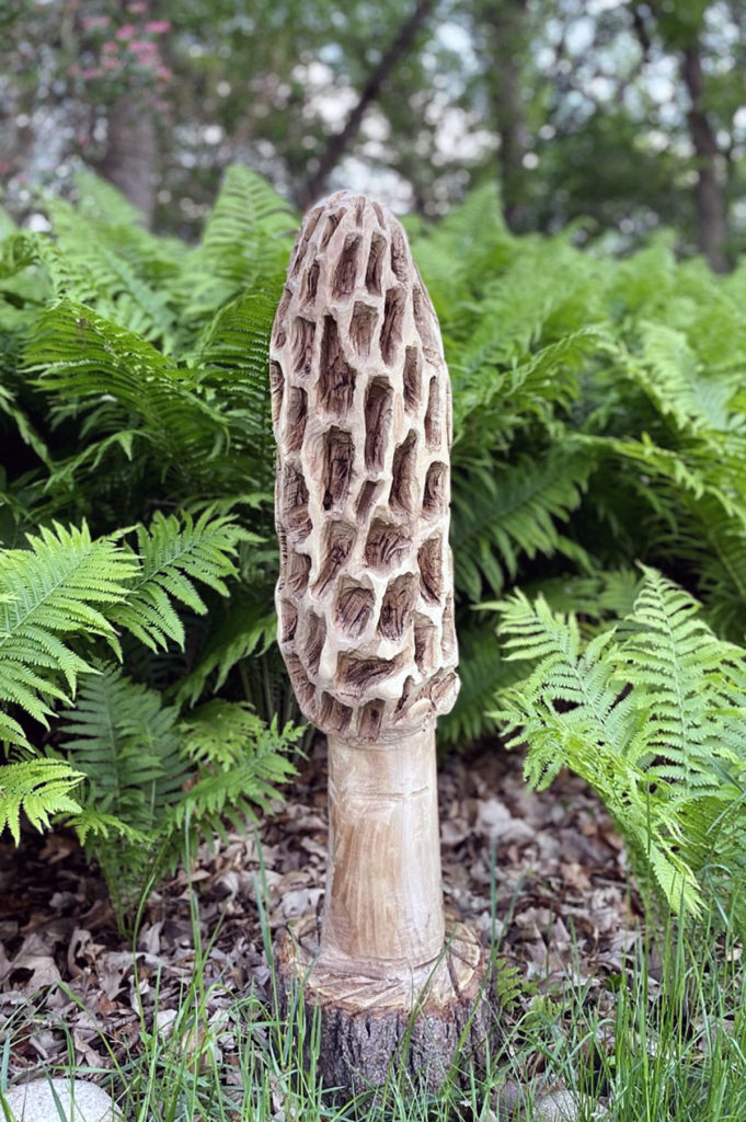 Submitted Image - Carved Morel Mushroom by Laura Marti
