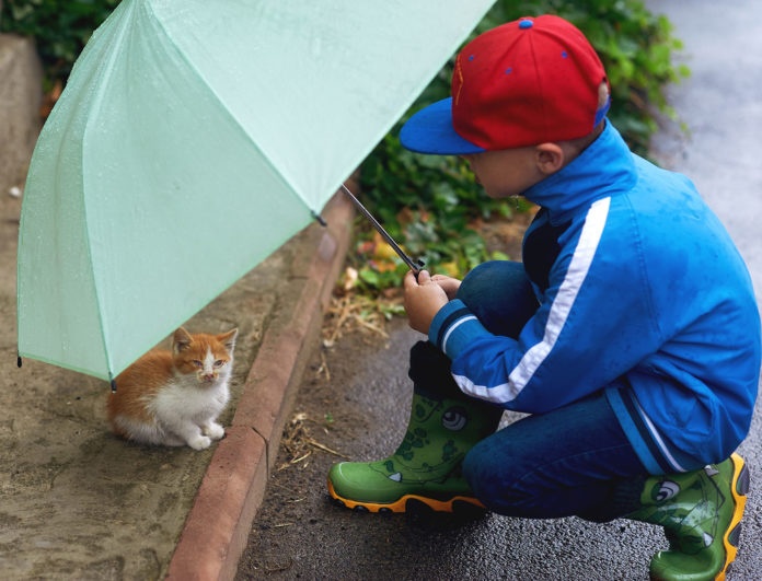 Boy showing kindness to kitten