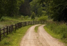 Rustic Country Road