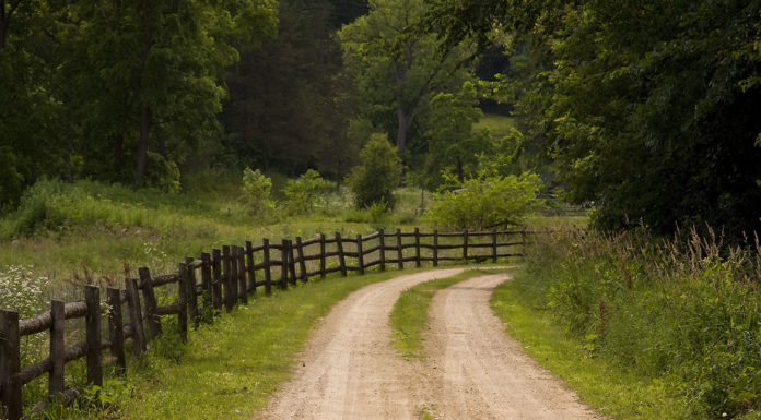 Rustic Country Road