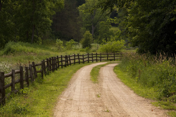 Rustic Country Road