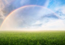 Rainbow with meadow.