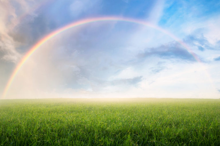 Rainbow with meadow.