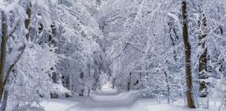 Snowy road