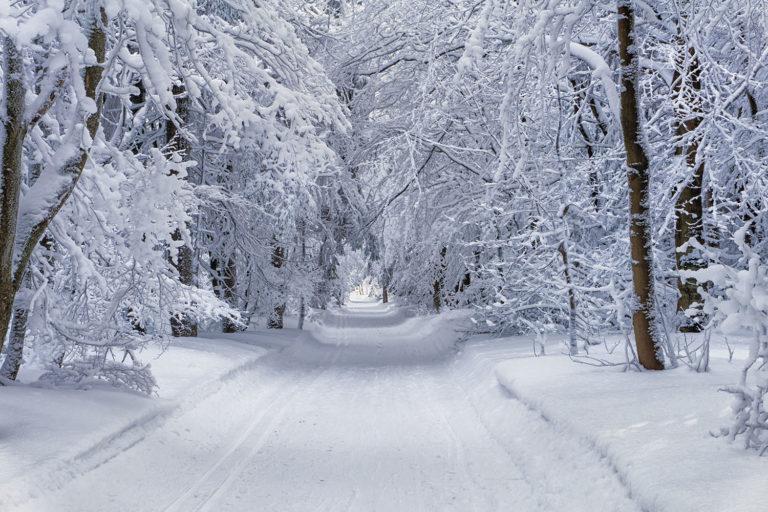 Snowy road