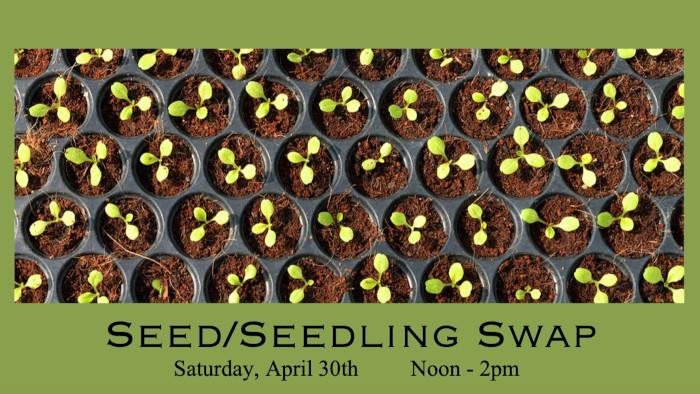 Living Earth Center | Seed and Seedling Swap