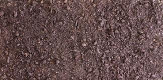 Bare Ground