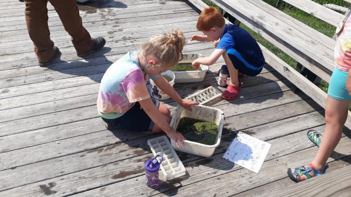 Ney Nature Center | Youth Naturalist Series Pond Study