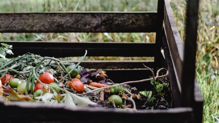 Farm to Table | Compost