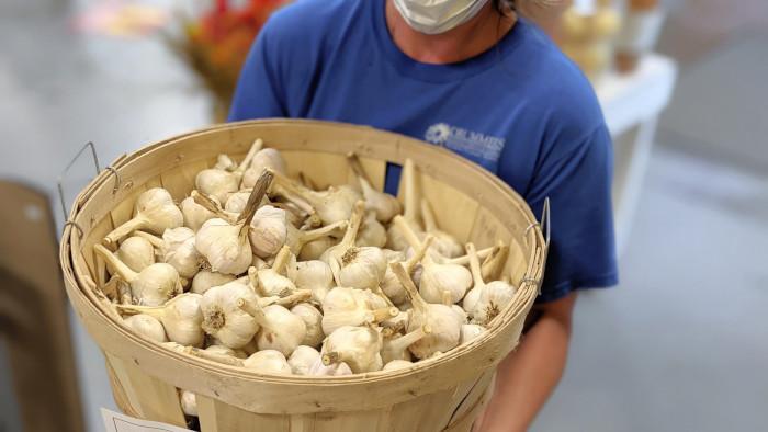 Drummers Garden Center | How to Grow Garlic